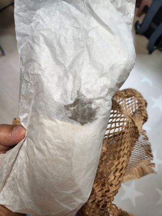 빅그린 안티 헤어로스 탈모 카렌듈라 바이옴 샴푸 500ml (지성두피용) — 4점을 준 리뷰어가 2022년 8월 올린 사용 사진