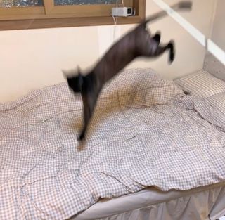 수린님이 올린 리뷰 사진 2