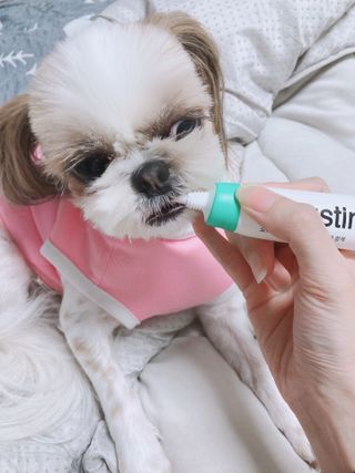 엘리오복숭아님이 올린 리뷰 사진 3