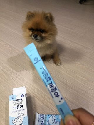 쭈야님이 올린 리뷰 사진 1
