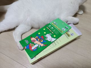 [숨그림] 3D 입체형, 짱구, 무직타이거, 빨강머리앤 우리아이 그리고 내가 쓰는 믿을수있는 케릭터 마스크 — 5점을 준 리뷰어가 2021년 10월 올린 사용 사진