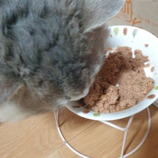 소이양님이 올린 리뷰 사진 2