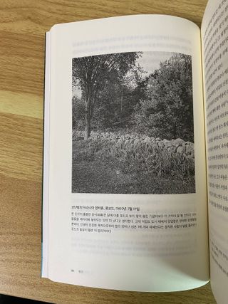 Oh소녀님이 올린 리뷰 사진 2