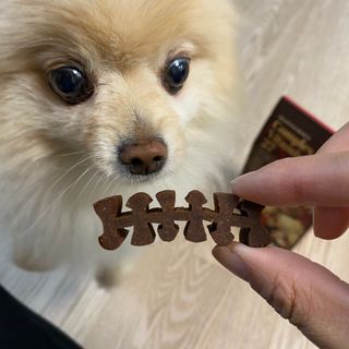 세지니힛님이 올린 리뷰 사진 3