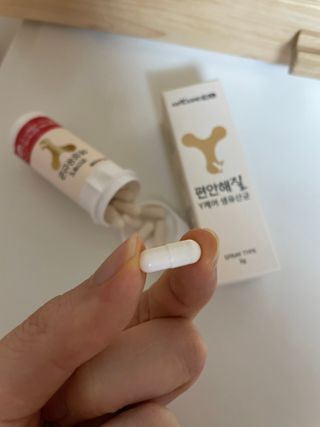 메이준뉴트리 메이준쎌 편안해질 Y케어 유산균 — 5점을 준 리뷰어가 2021년 2월 올린 사용 사진