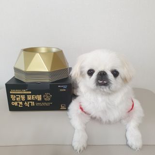 [세싹보울] 세균 싹~ 사라지는 셀앤핏 펫 항균동 애견식기 — 5점을 준 리뷰어가 2021년 6월 올린 사용 사진