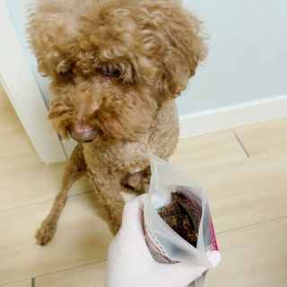 kkyo님이 올린 리뷰 사진 1