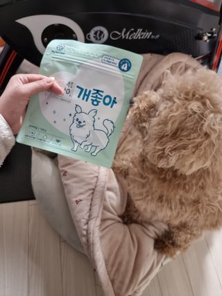 My Pet Care 천연단백질 눈건강에 개좋아 — 5점을 준 리뷰어가 2021년 3월 올린 사용 사진