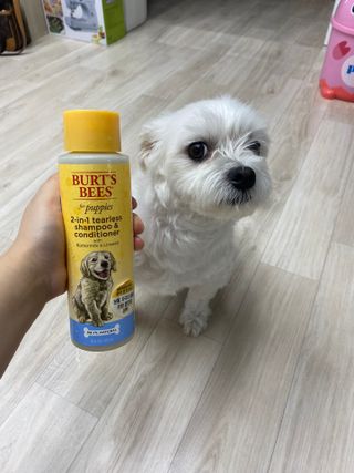 이경주님이 올린 리뷰 사진 2