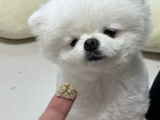 키둑키님이 올린 리뷰 사진 1