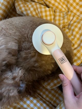 코끼리님이 올린 리뷰 사진 3
