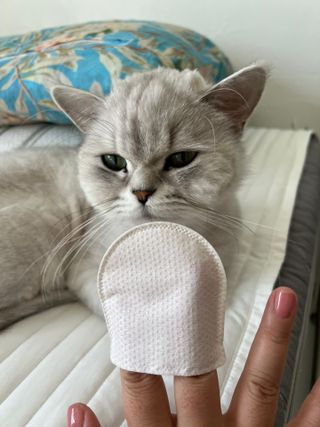 둠둠힝님이 올린 리뷰 사진 1