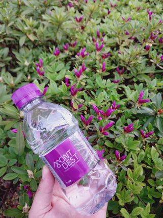 몽베스트 [MONTBEST] 330mL 20병 — 5점을 준 리뷰어가 2023년 4월 올린 사용 사진