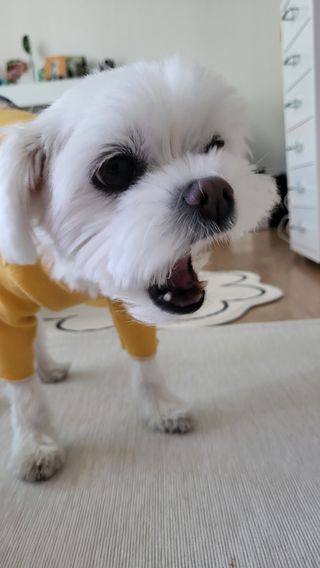 뽀오오옹님이 올린 리뷰 사진 2