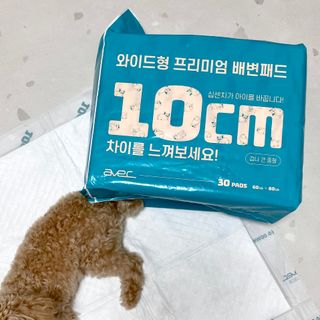 아베크 펫 와이드 프리미엄 대형 애견 강아지 배변 패드 30매 1팩 80g — 5점을 준 리뷰어가 2021년 7월 올린 사용 사진