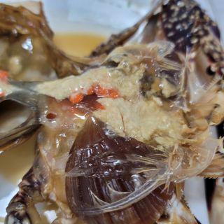 엔젤쏠님이 올린 리뷰 사진 4