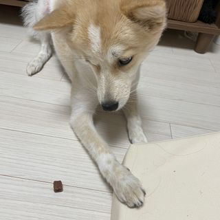 끙님이 올린 리뷰 사진 3