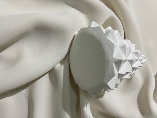 코하드블랑 캘리포니아 규조토 포레스트 인테리어 오브제 — 5점을 준 리뷰어가 2021년 2월 올린 사용 사진