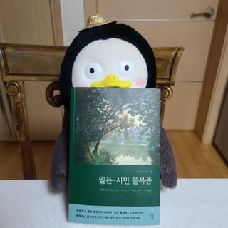 그므시라꼬님님이 올린 리뷰 사진 1