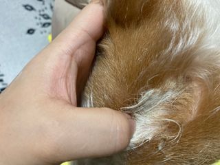 뚜블리님이 올린 리뷰 사진 2