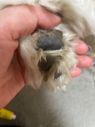 ㅇㅅㅇ님이 올린 리뷰 사진 2