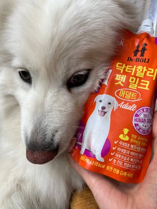 김은둥님이 올린 리뷰 사진 3
