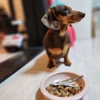 이쁘콩님이 올린 리뷰 사진 3