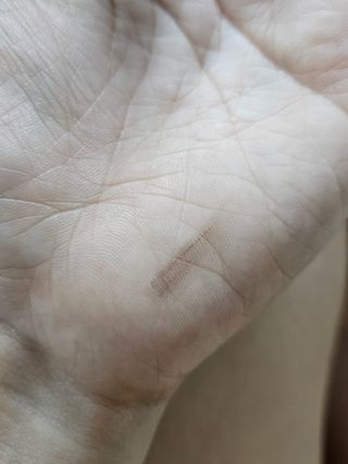 맹고님이 올린 리뷰 사진 4