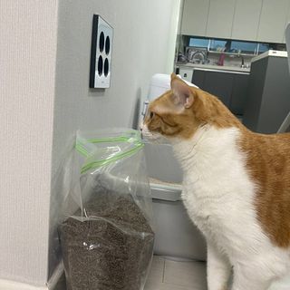 져니님이 올린 리뷰 사진 3
