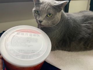 셰프애찬 알배기 겉절이 김치 1kg — 5점을 준 리뷰어가 2022년 9월 올린 사용 사진