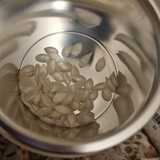 콩콩이님이 올린 리뷰 사진 2