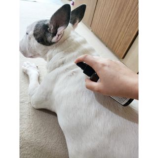 콩콩님이 올린 리뷰 사진 2