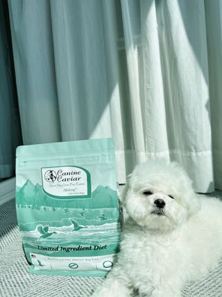 캐닌캐비어 알카라인 홀리스틱 그레이프리 앙뜨레 ALS_4종 오픈스카이, 와일드오션, 프리스피릿, 스페셜니즈 — 4점을 준 리뷰어가 2023년 3월 올린 사용 사진