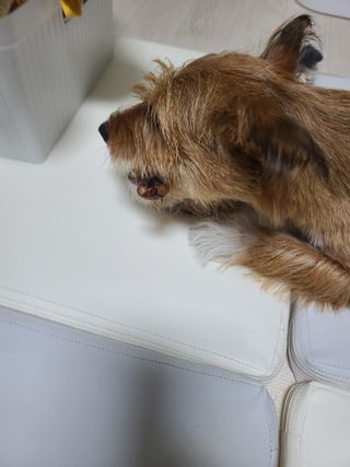 커피보고왔엄님이 올린 리뷰 사진 2