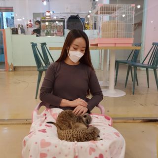 효니스타일님이 올린 리뷰 사진 3