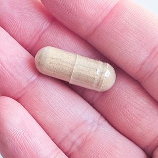푸르링세화님이 올린 리뷰 사진 2
