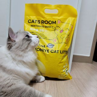 겟플렉스 켓플렉스 캣츠룸BS-1 고양이모래 4kg — 4점을 준 리뷰어가 2021년 1월 올린 사용 사진