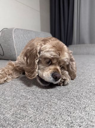이다희님이 올린 리뷰 사진 4