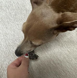 JeonEunju님이 올린 리뷰 사진 4