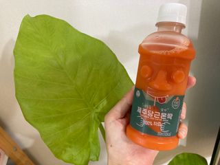 탐라원 무농약 당근과즙으로 건강한 당근주스, 당근몬딱주스 — 5점을 준 리뷰어가 2021년 8월 올린 사용 사진