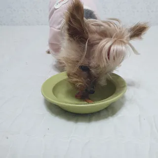 솜희님이 올린 리뷰 사진 4