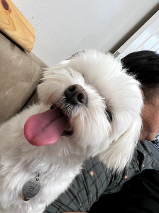 정은a님이 올린 리뷰 사진 1