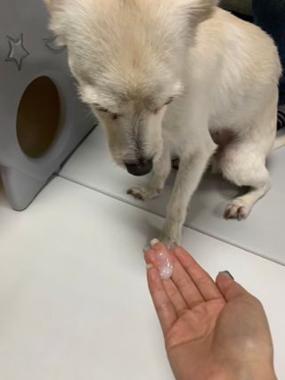 EunhyeCho님이 올린 리뷰 사진 3