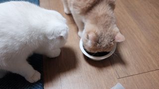 소원구르밍님이 올린 리뷰 사진 3