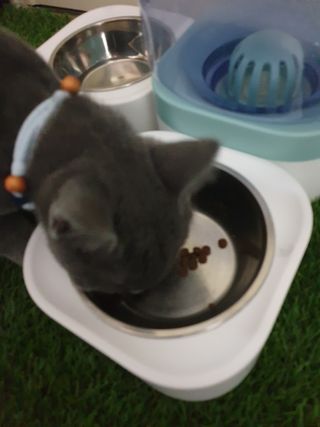 유영경님이 올린 리뷰 사진 3