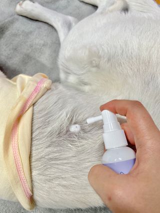 Jenny님이 올린 리뷰 사진 2