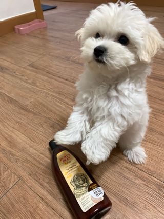 냥냥이님이 올린 리뷰 사진 3
