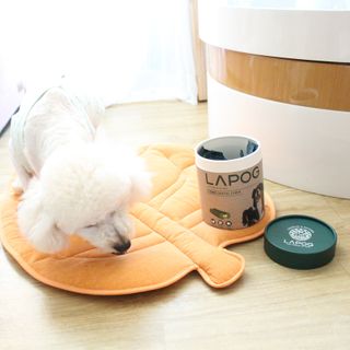 알럽은서님이 올린 리뷰 사진 4