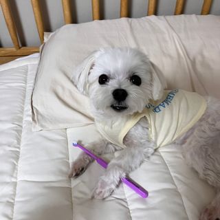 하리이님이 올린 리뷰 사진 2