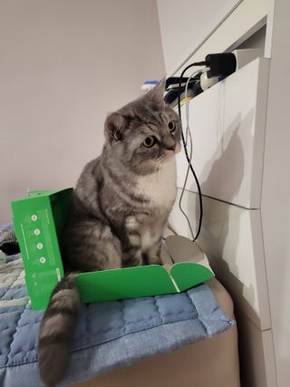 호롤로님이 올린 리뷰 사진 4